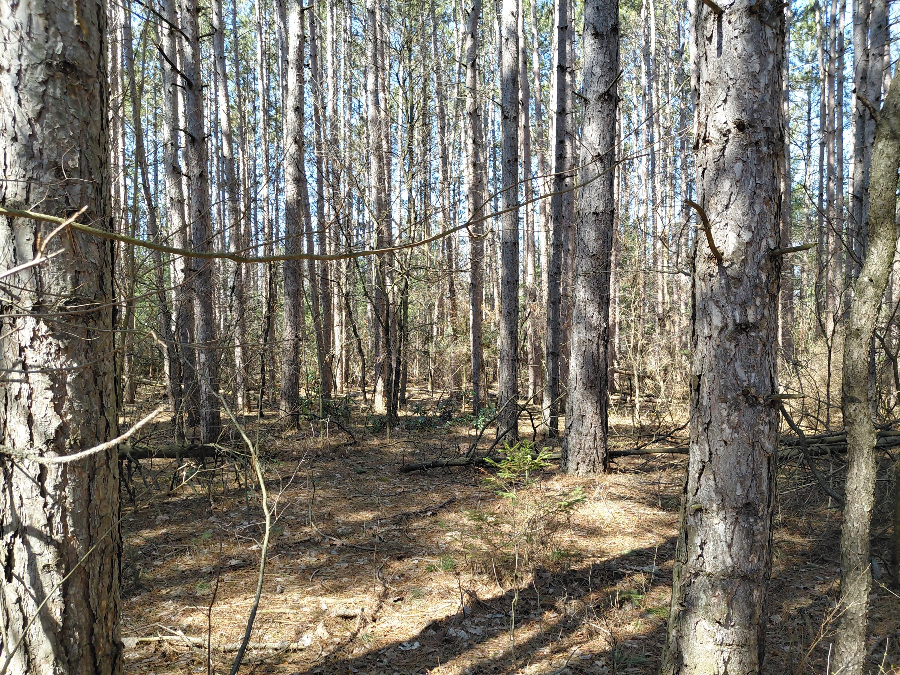 V/l E Pine Hill Avenue Property Photo 1