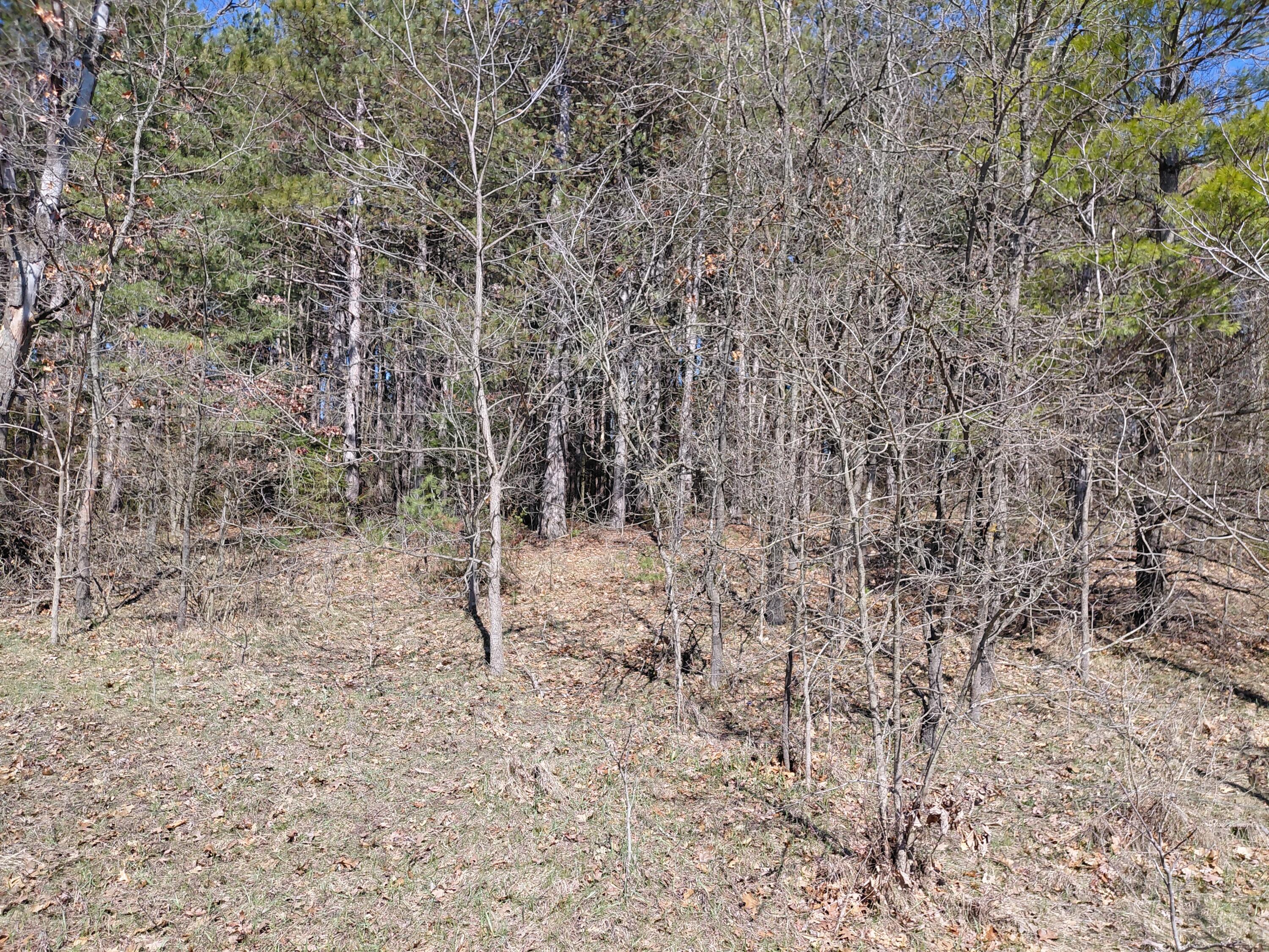 V/l E Pine Hill Avenue Property Photo 2