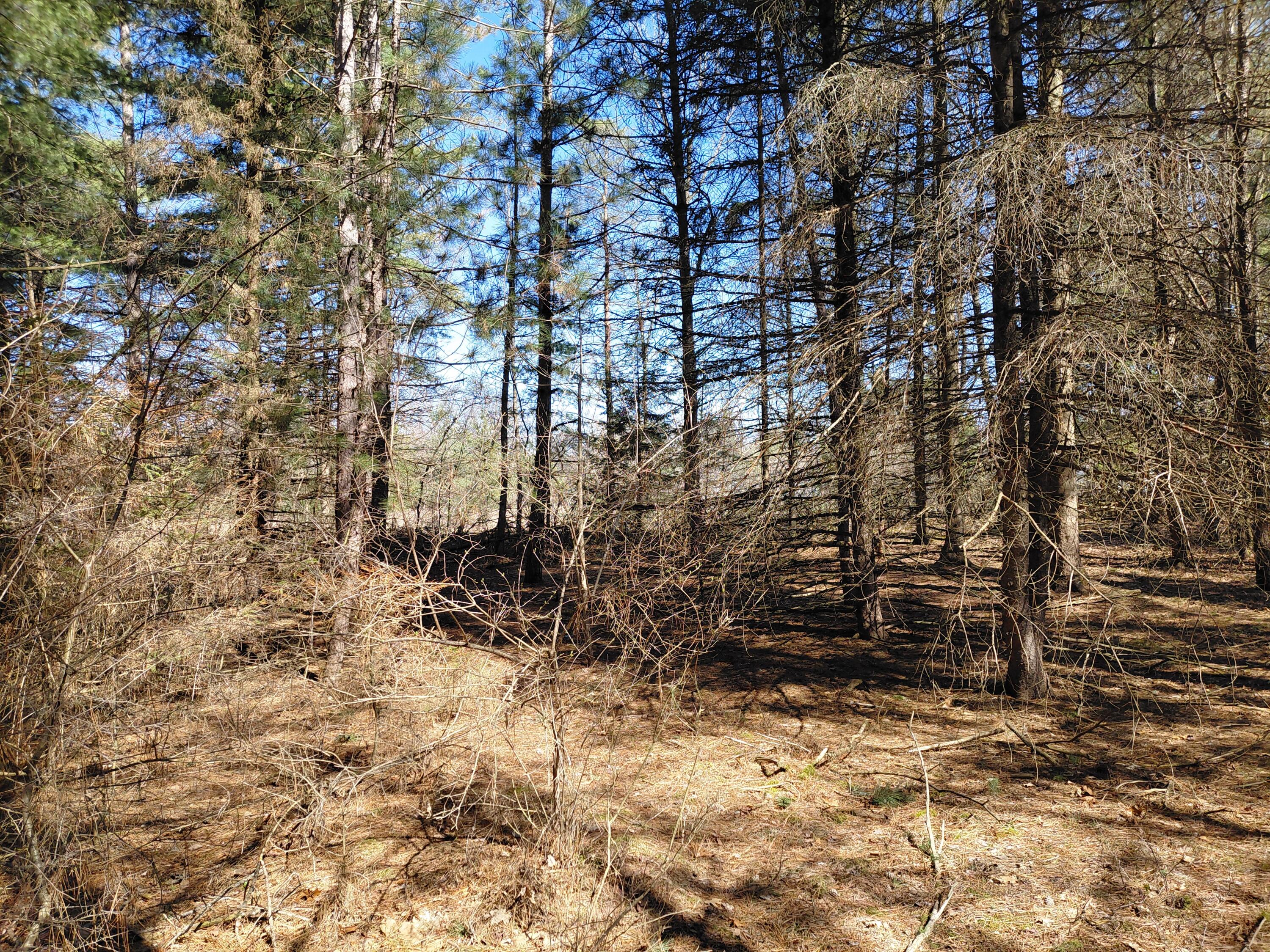 V/l E Pine Hill Avenue Property Photo 3