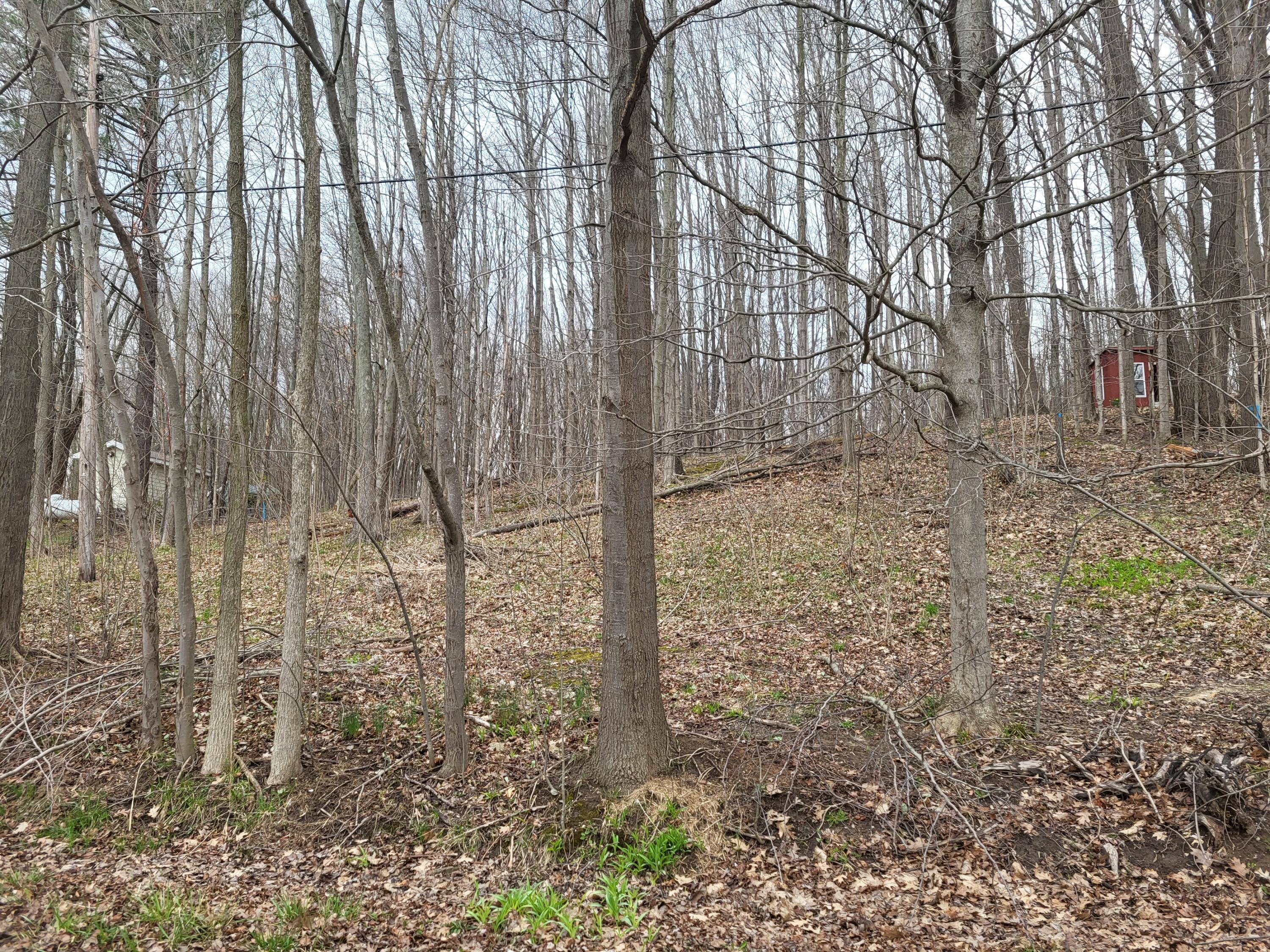 V/l 46 Peterson Dr E Peterson Property Photo 1