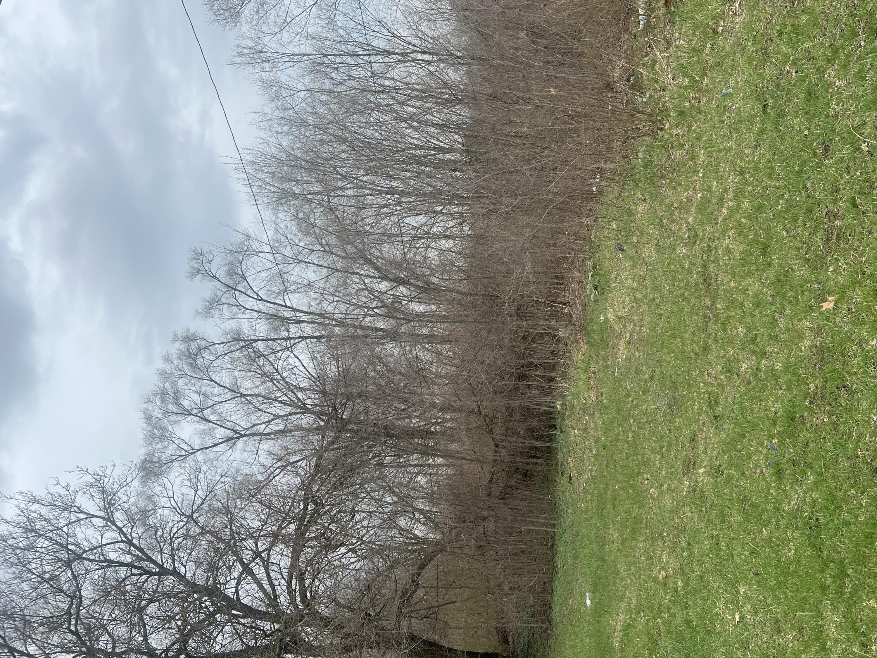 1096 N Euclid Avenue Property Photo 1