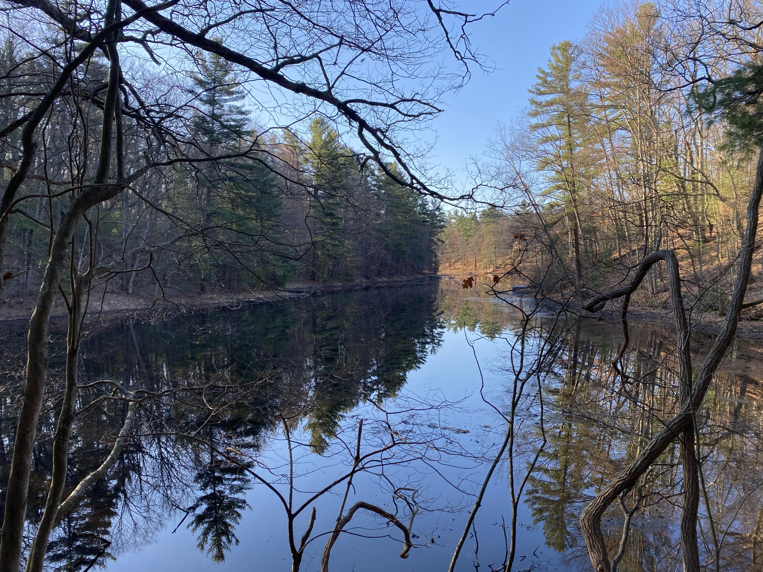 Vl Mill Pond Trail Property Photo 1