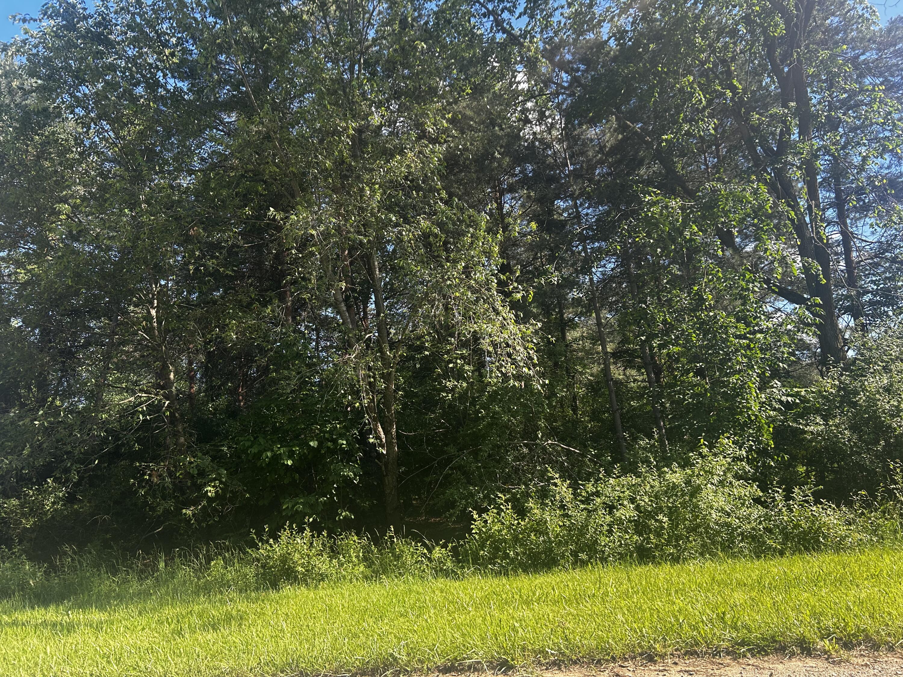 W Ranger Road 119 Lot Property Photo 11