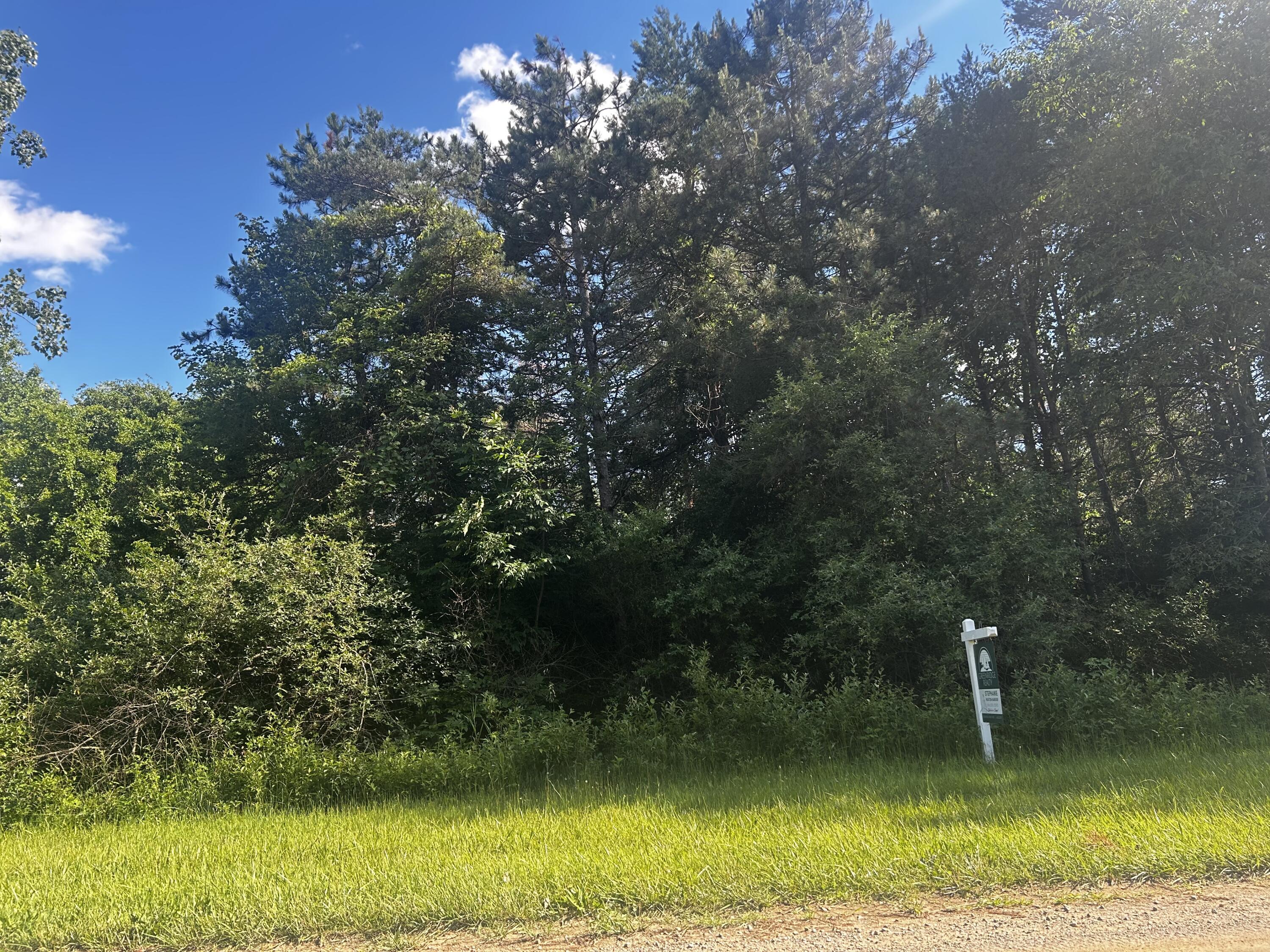 W Ranger Road 119 Lot Property Photo 12