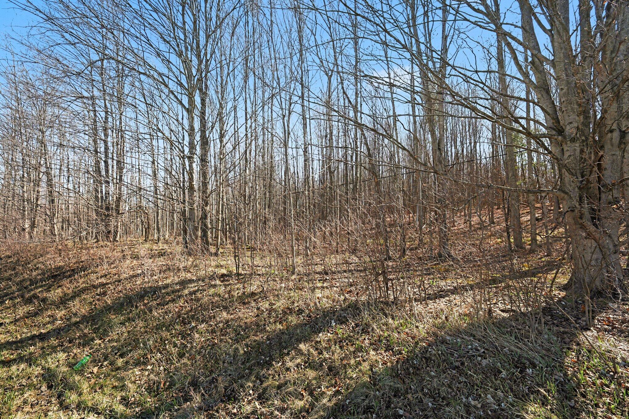 10410 N Division Ne Property Photo 13