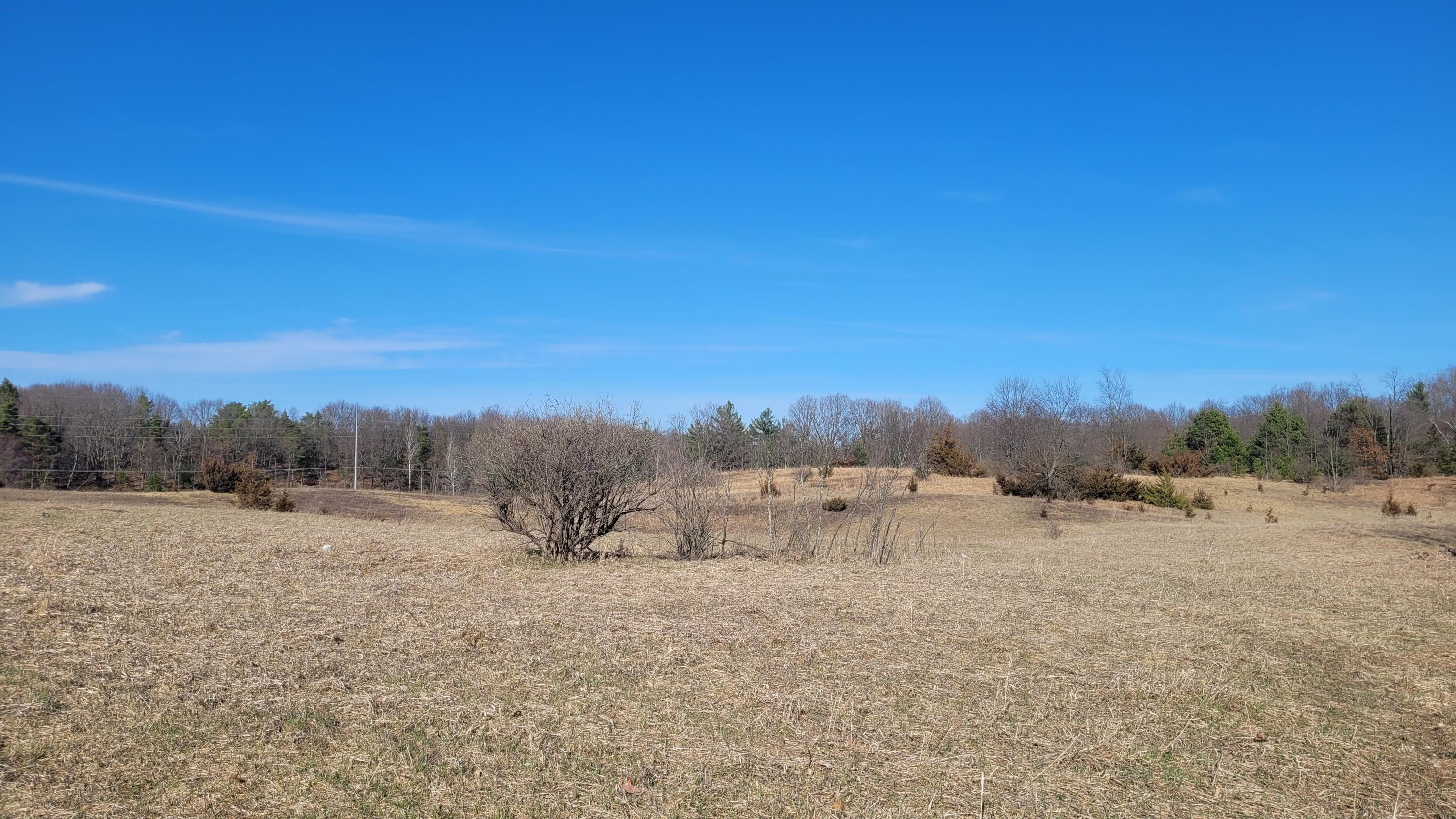 472 N Evergreen Drive Property Photo 6