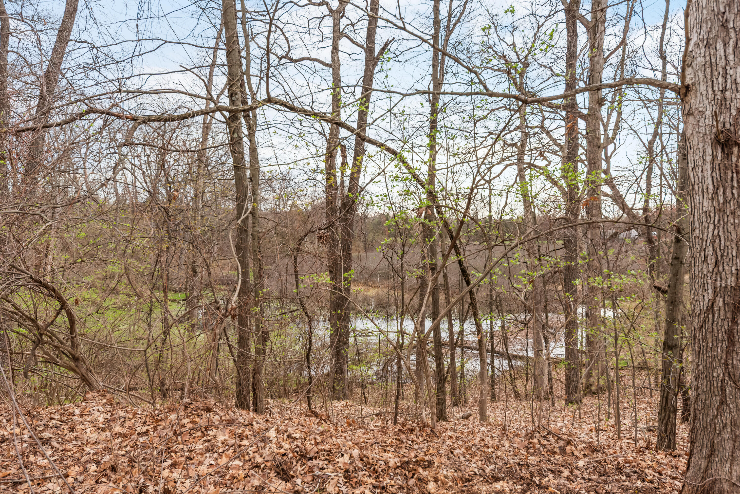 11460 Hearthside Drive Property Photo 63