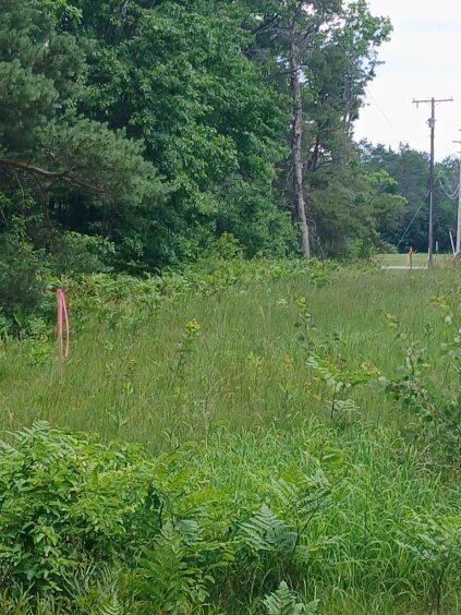 7860 S Grayling Road Property Photo 7