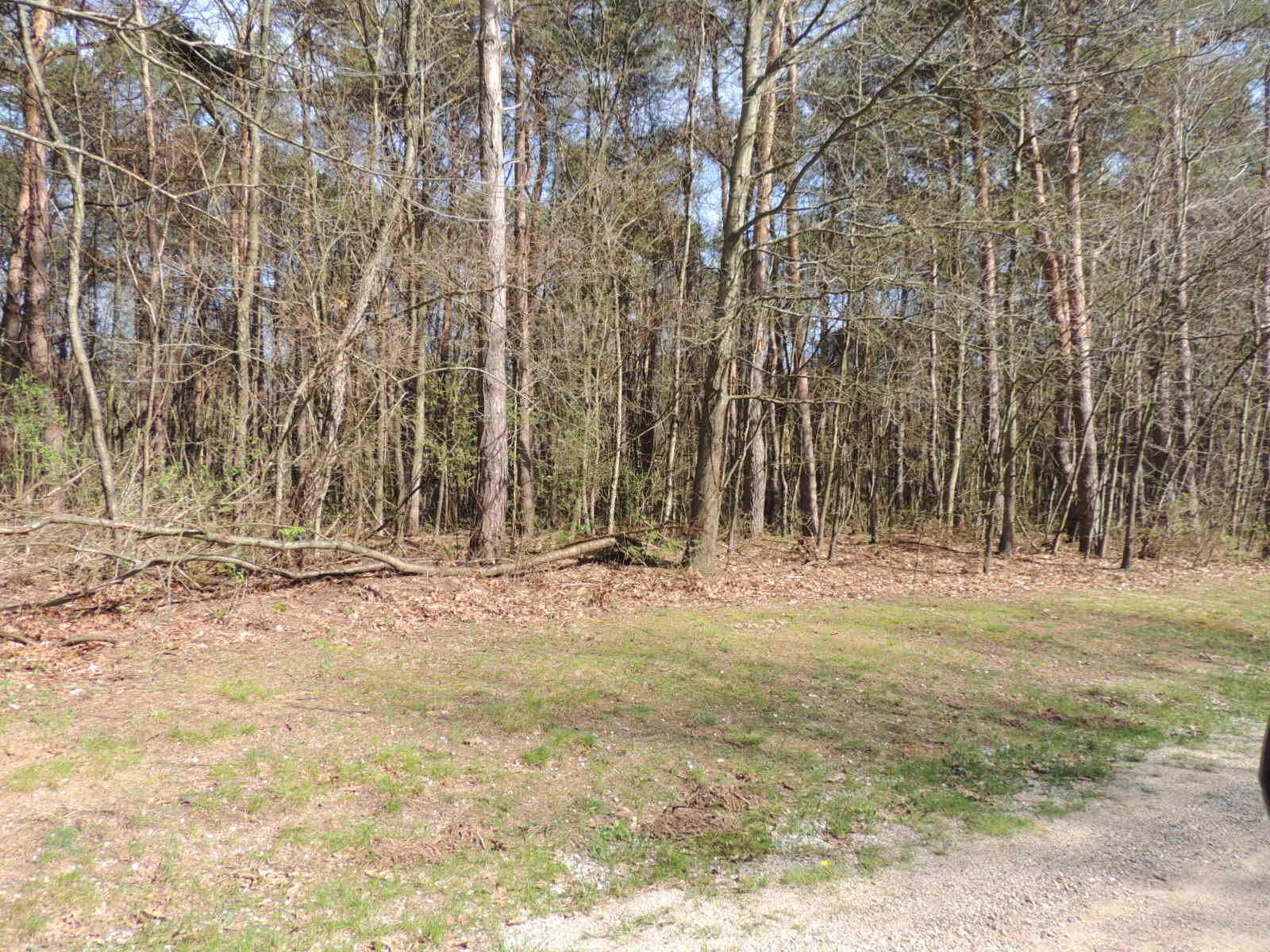 6342 Old Allegan Road Property Photo 54