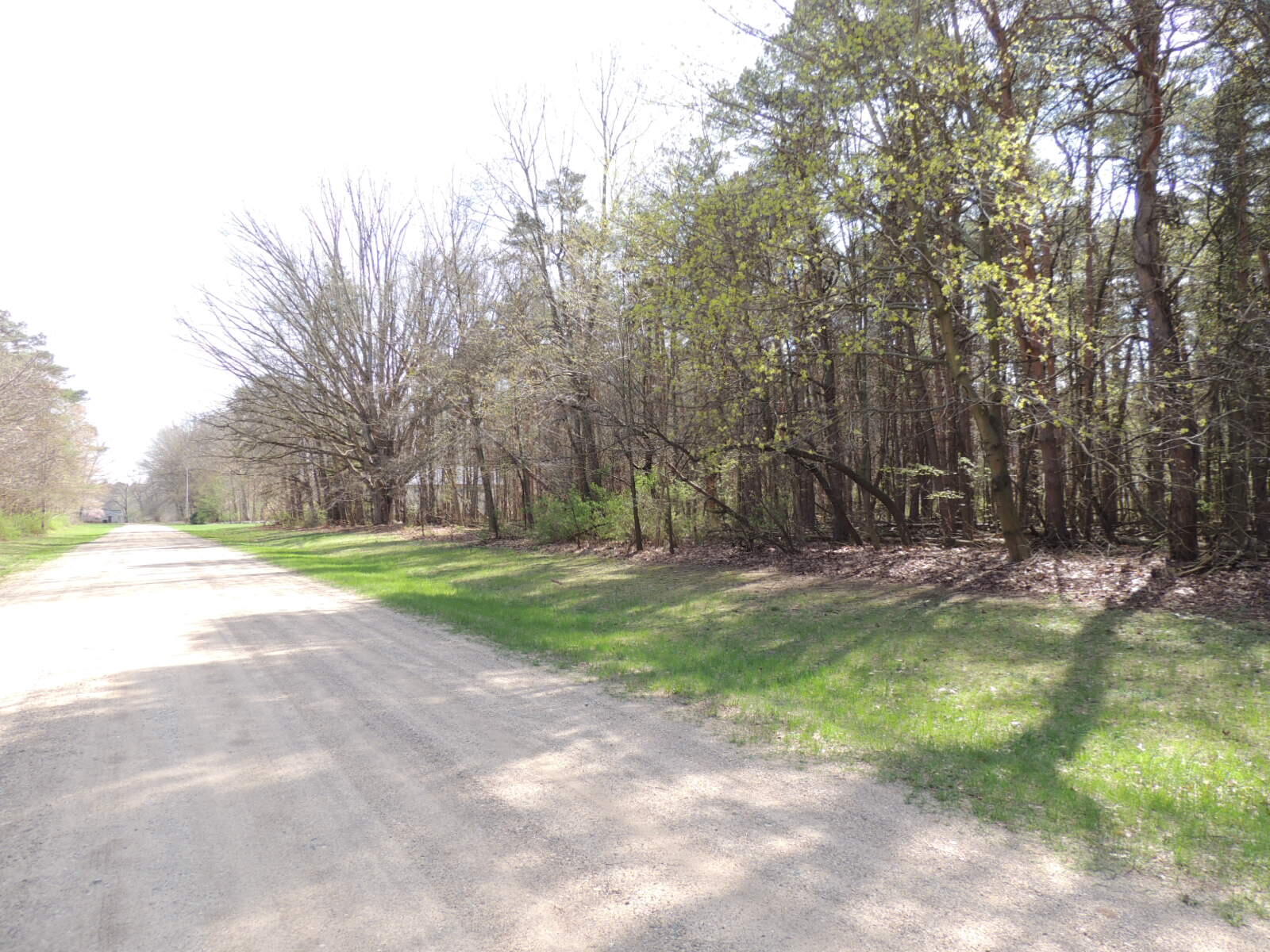 6342 Old Allegan Road Property Photo 55