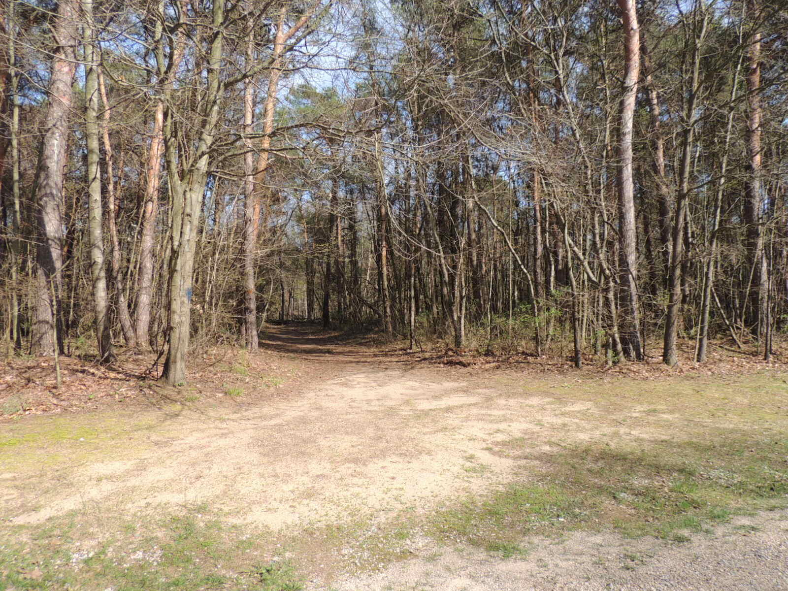 6342 Old Allegan Road Property Photo 56