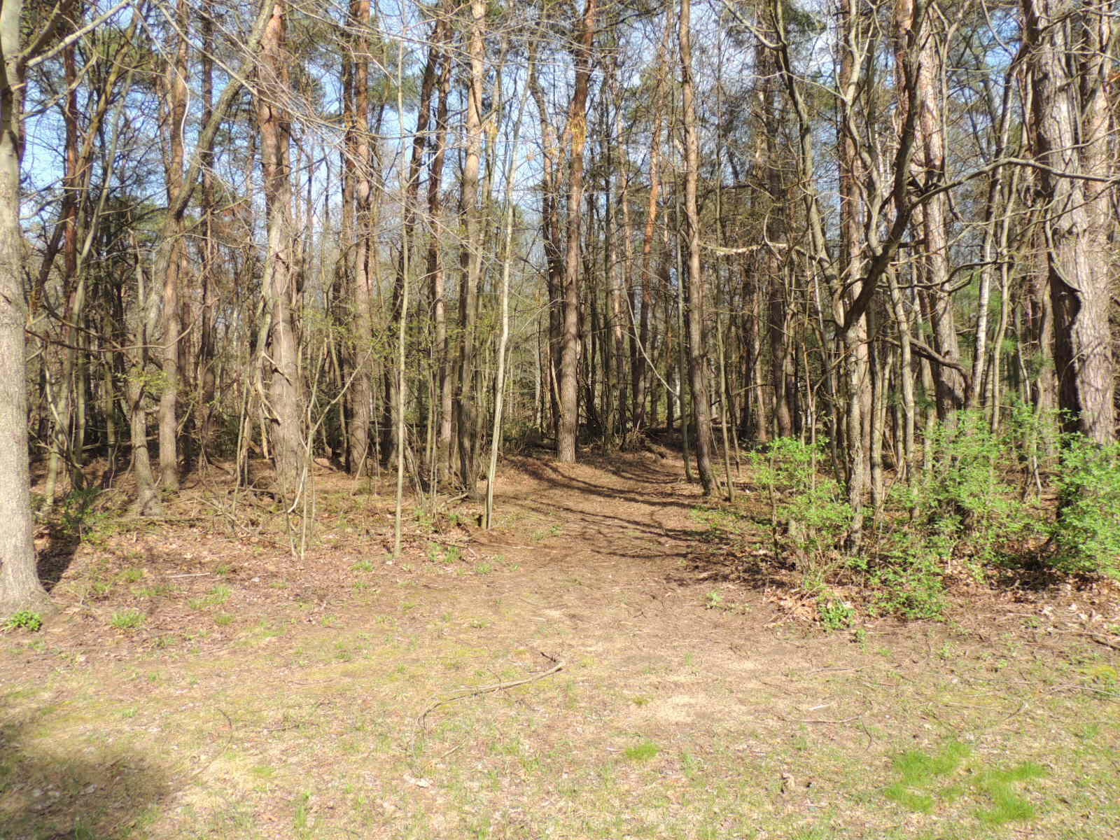 6342 Old Allegan Road Property Photo 57