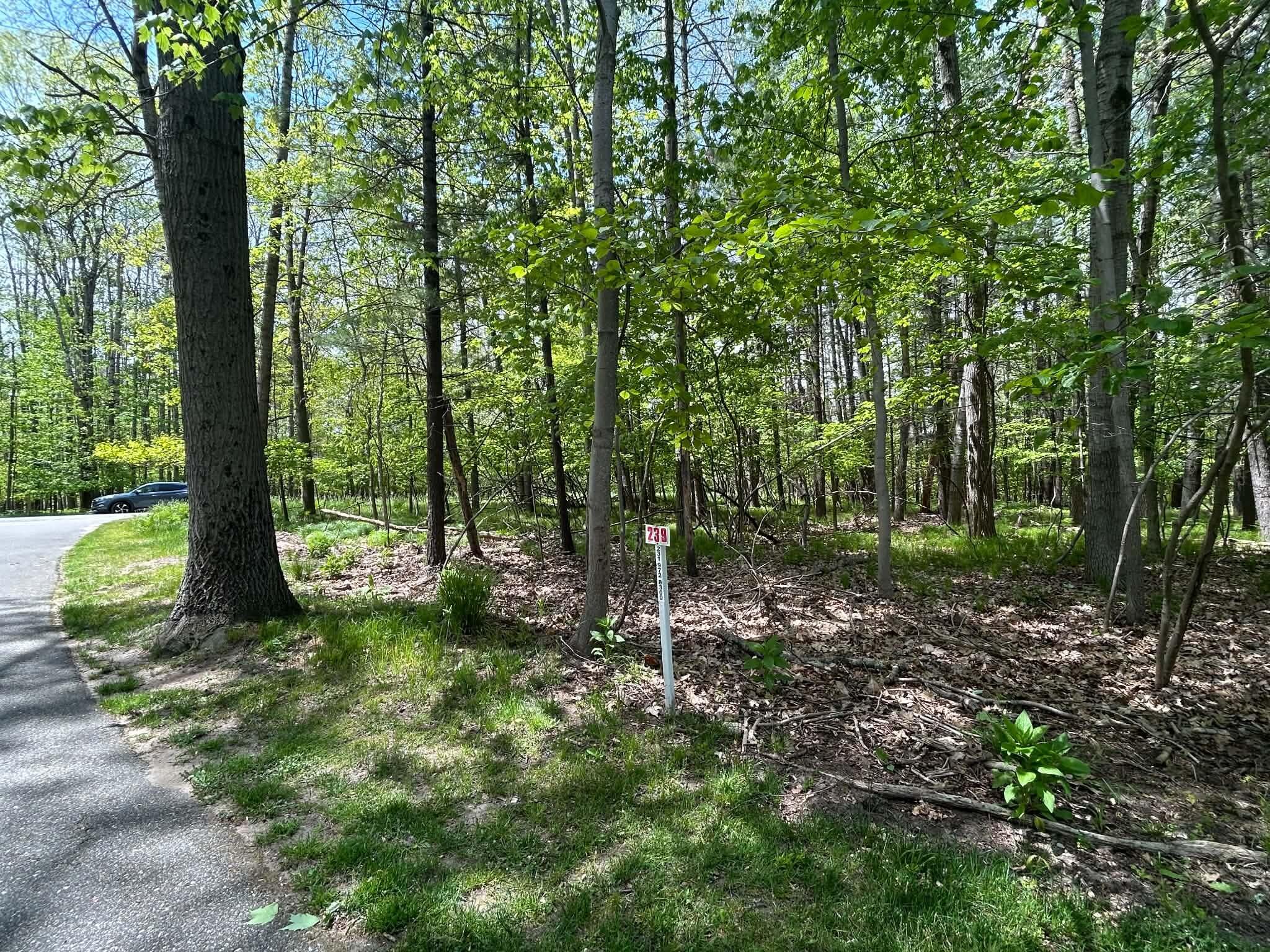 6718 Beechnut Ridge 239 Property Photo 1