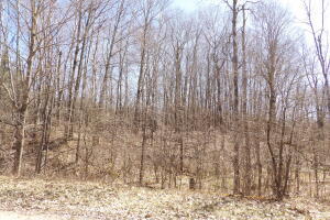 23098 Miramichi Drive Property Photo 1