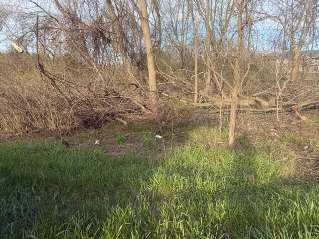 0 S Mason Drive Property Photo 2