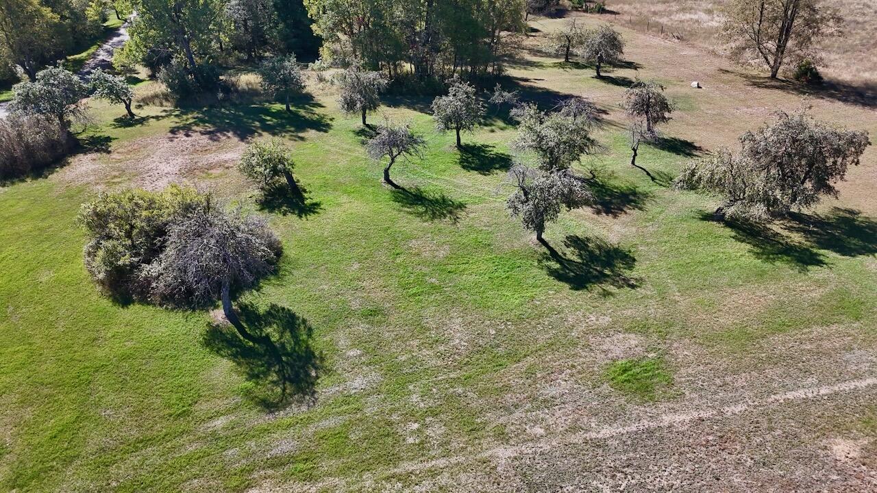 20200 Hibma Road Property Photo 10