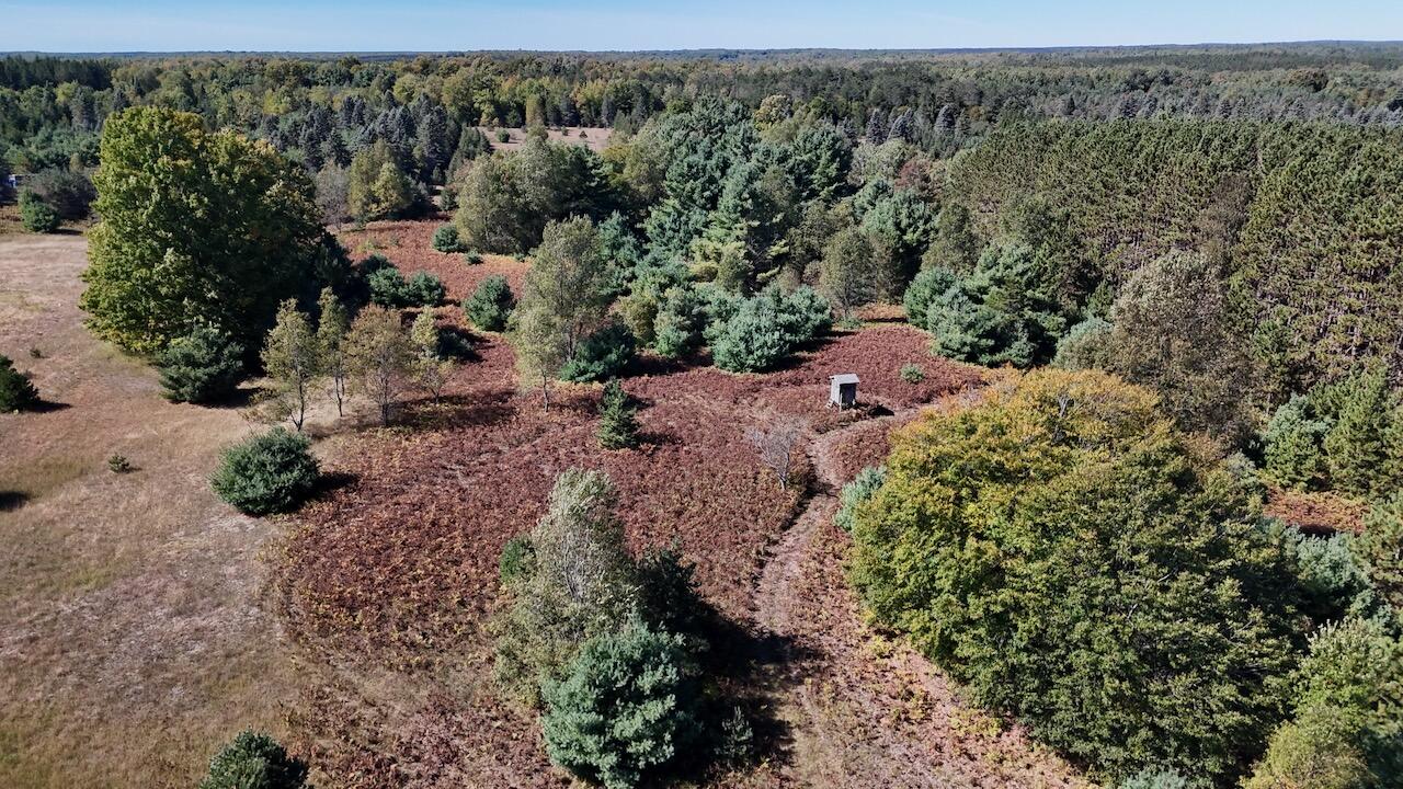 20200 Hibma Road Property Photo 12