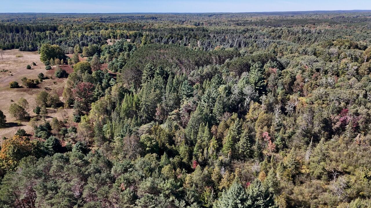20200 Hibma Road Property Photo 14