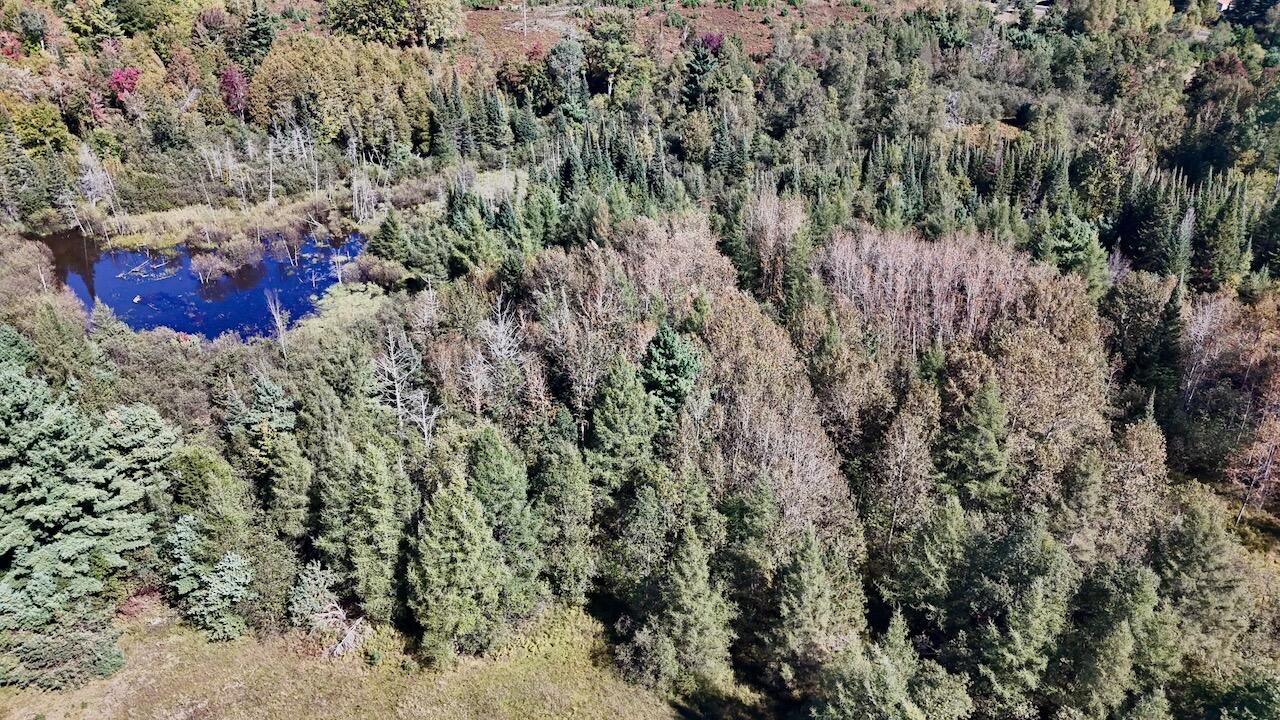 20200 Hibma Road Property Photo 15