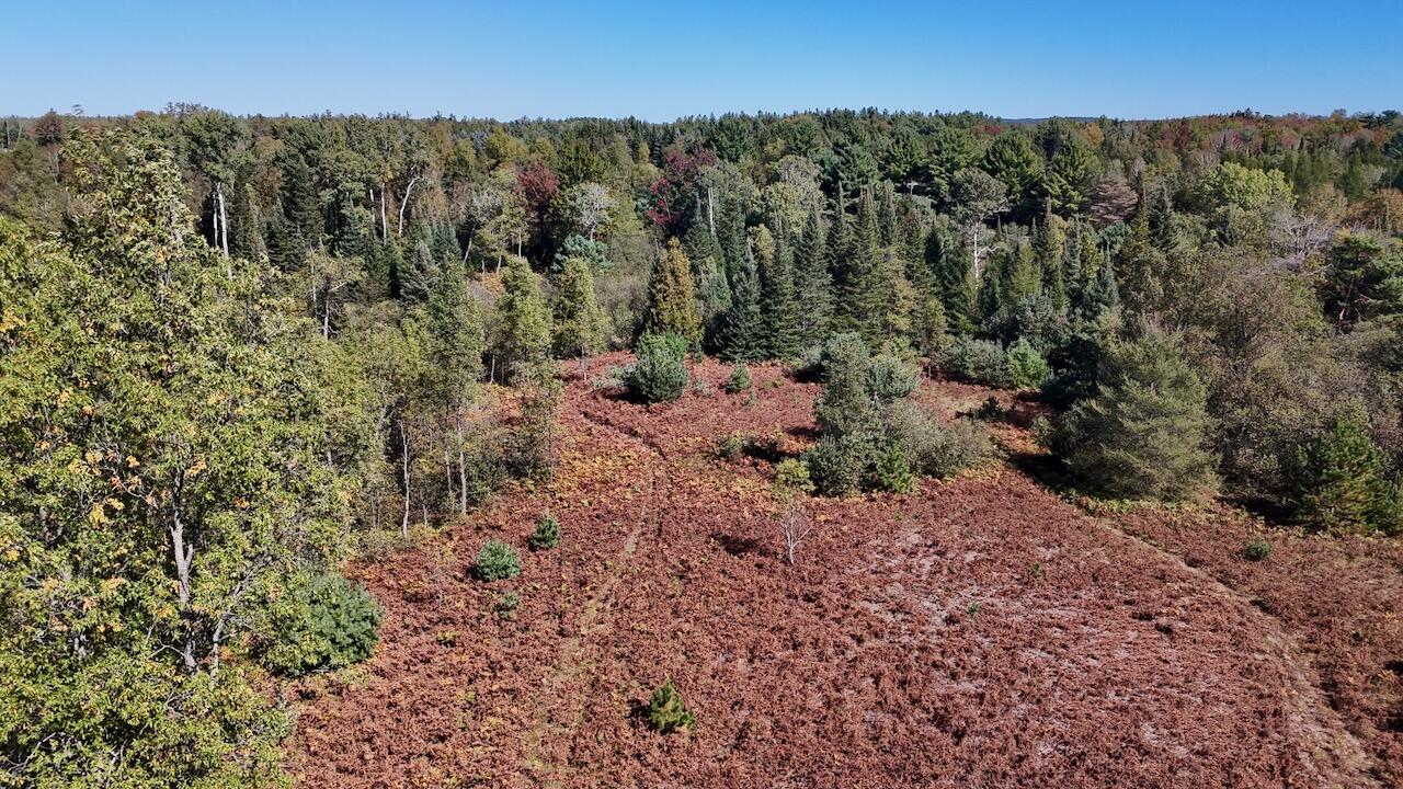 20200 Hibma Road Property Photo 16