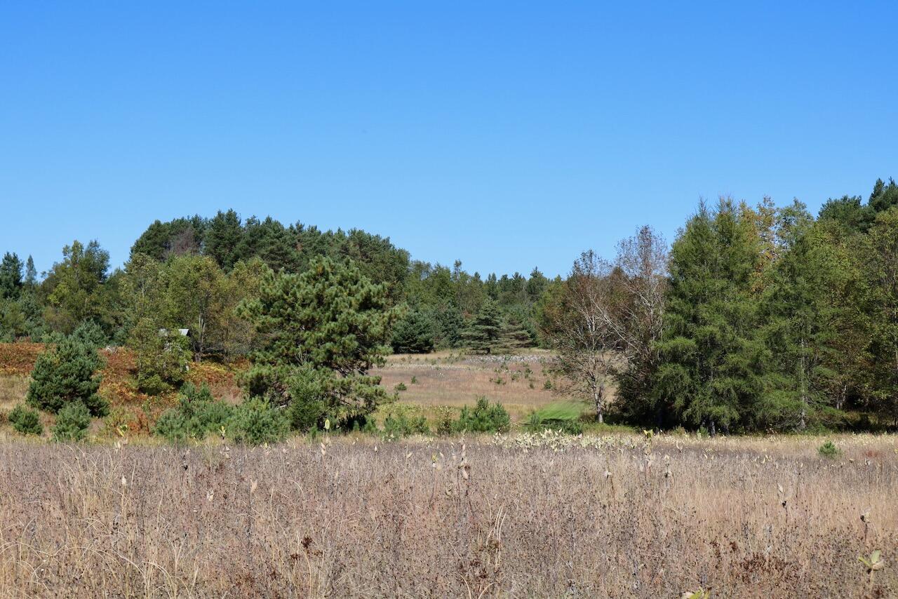 20200 Hibma Road Property Photo 66