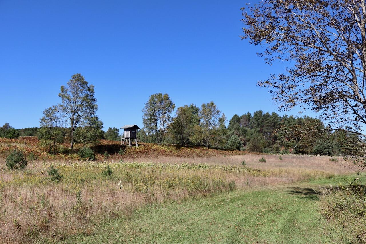 20200 Hibma Road Property Photo 68