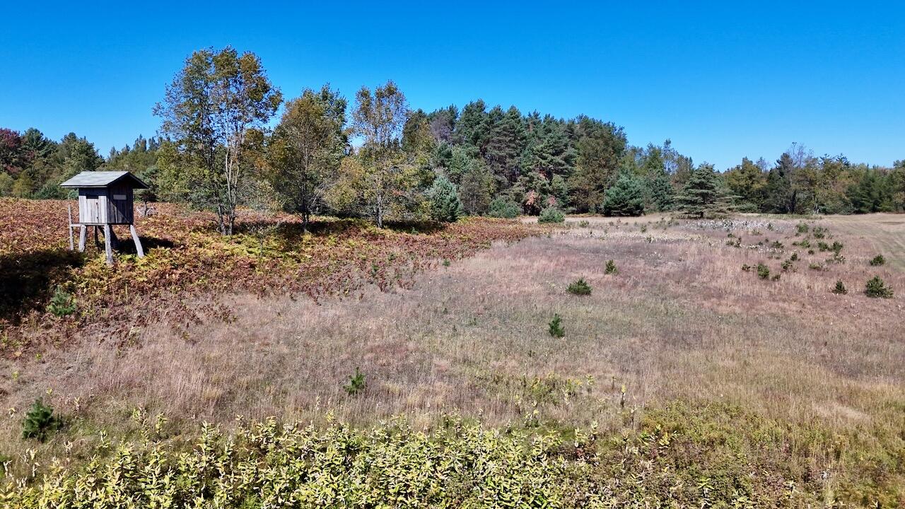 20200 Hibma Road Property Photo 69