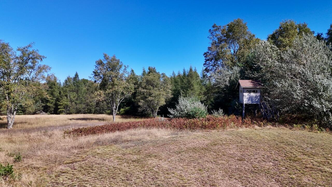 20200 Hibma Road Property Photo 71