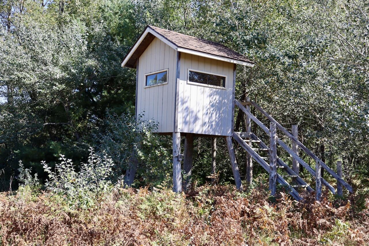 20200 Hibma Road Property Photo 73