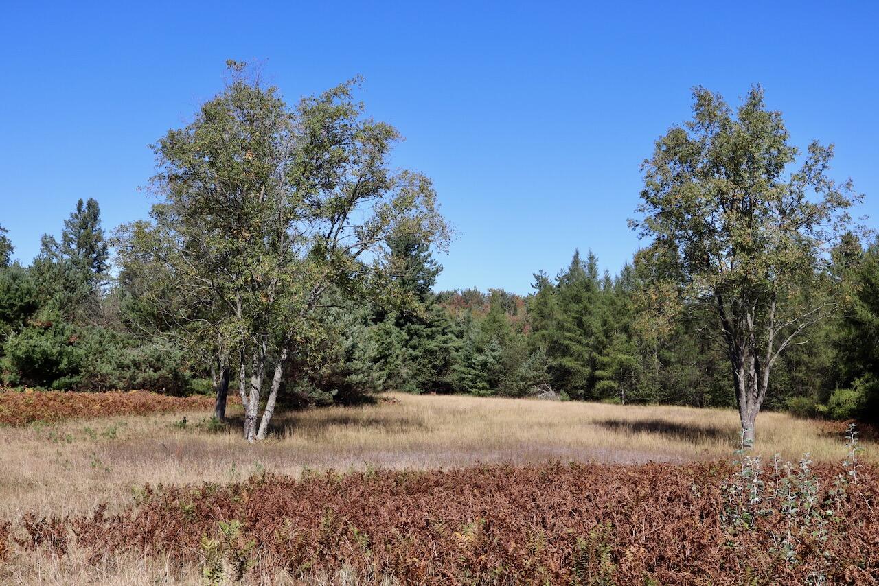 20200 Hibma Road Property Photo 74
