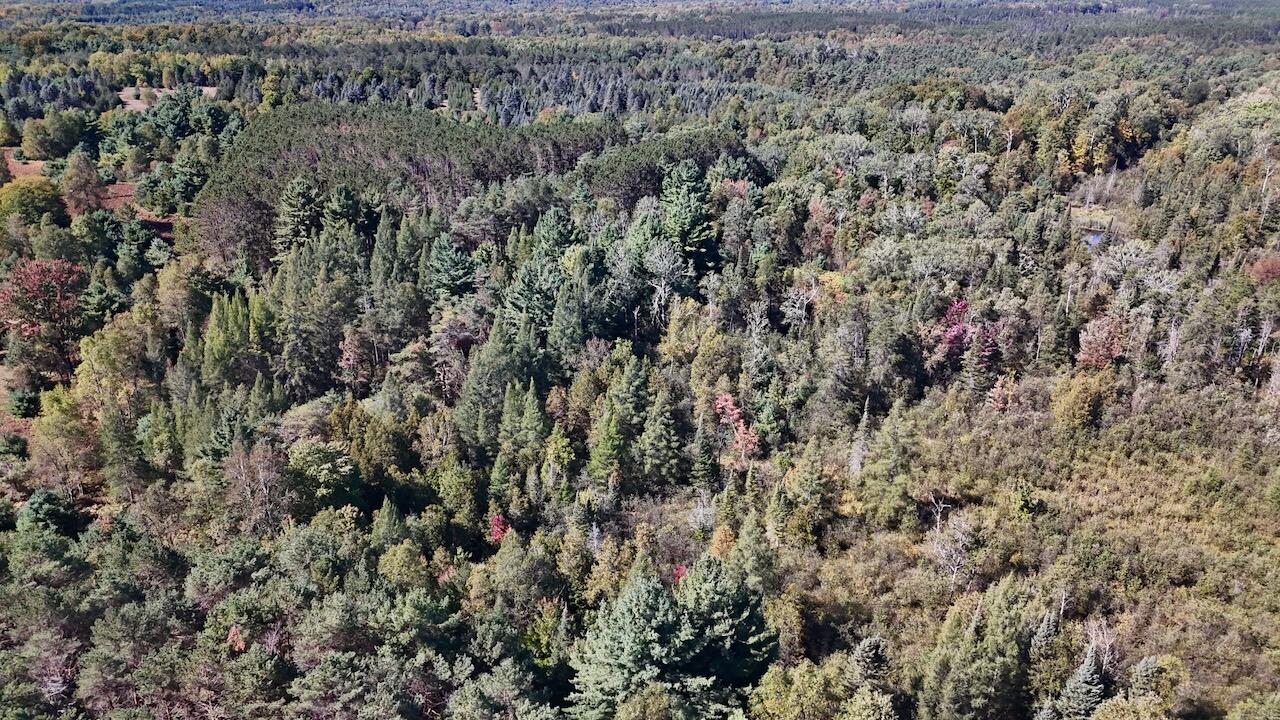 20200 Hibma Road Property Photo 75