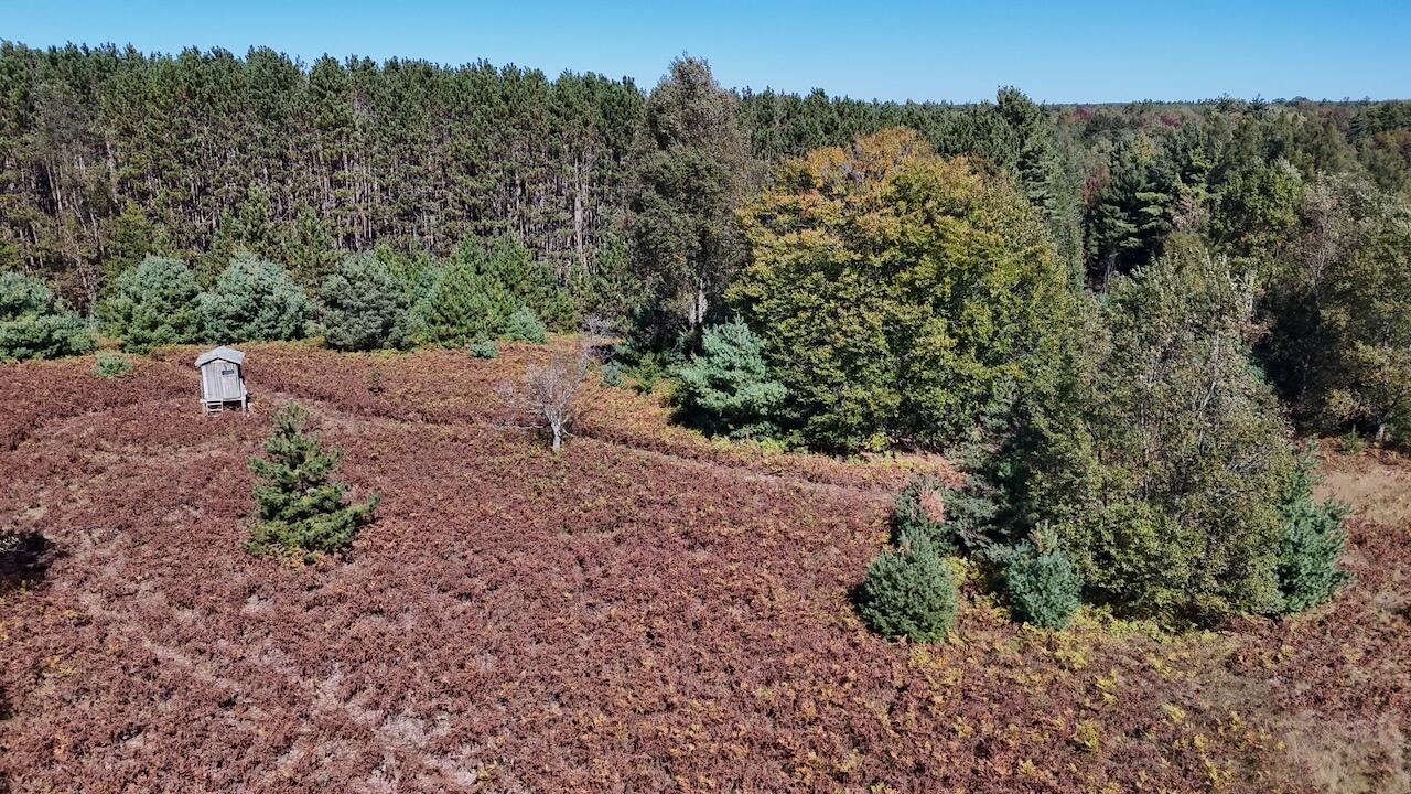 20200 Hibma Road Property Photo 77