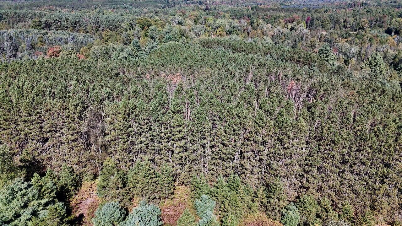 20200 Hibma Road Property Photo 78