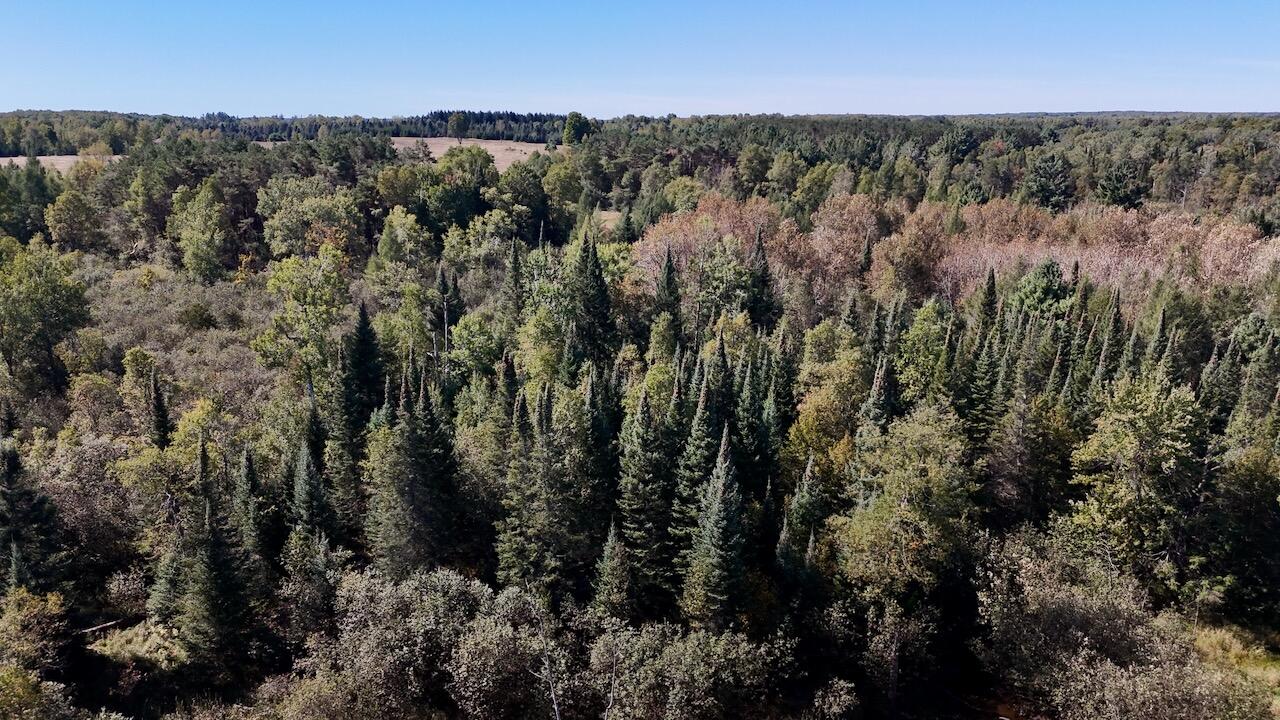20200 Hibma Road Property Photo 81