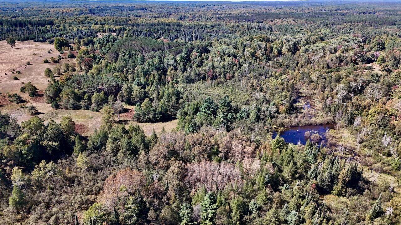 20200 Hibma Road Property Photo 82