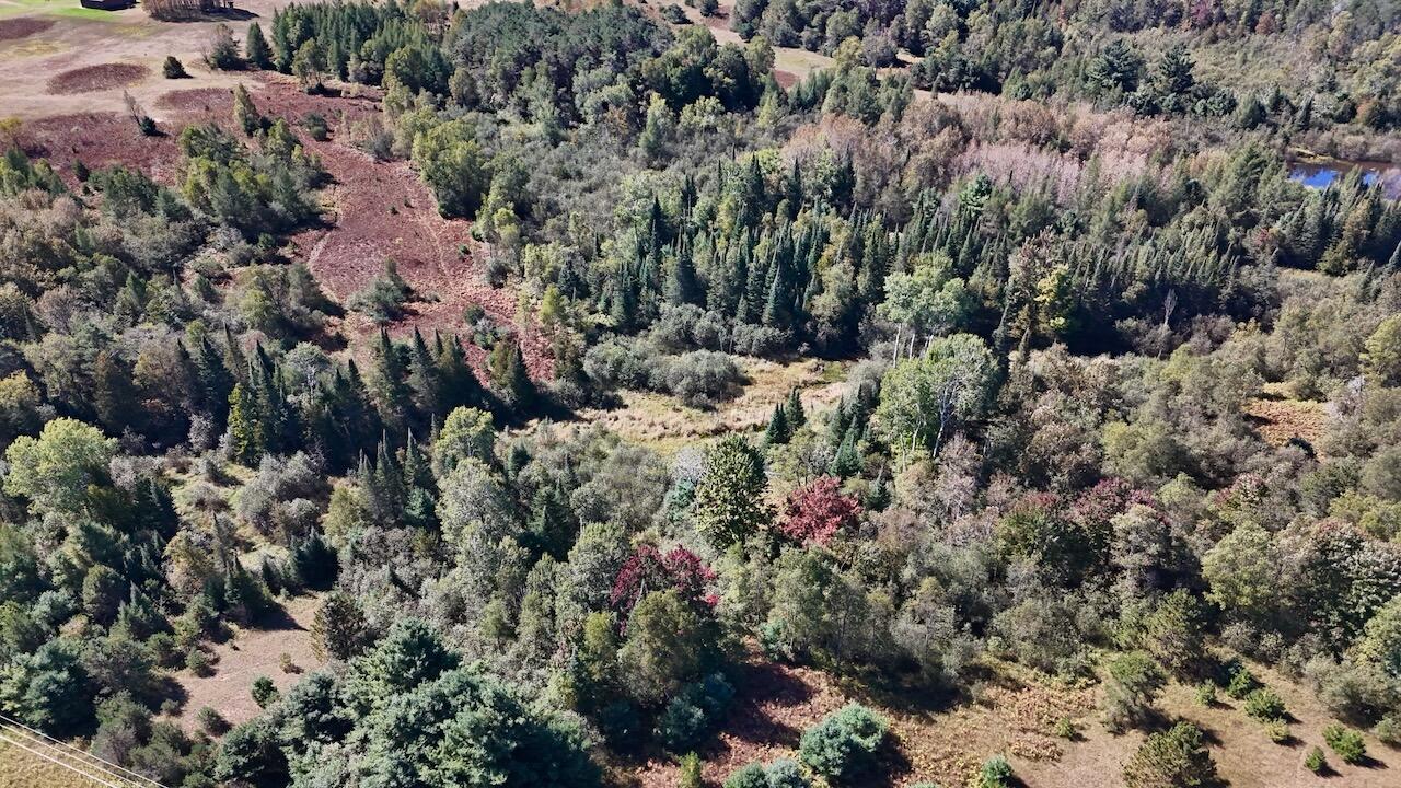 20200 Hibma Road Property Photo 84
