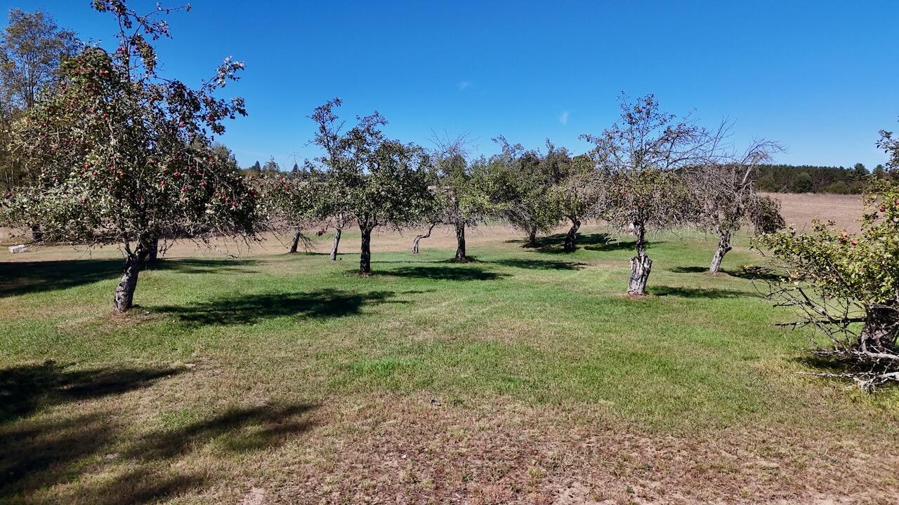 20200 Hibma Road Property Photo 87