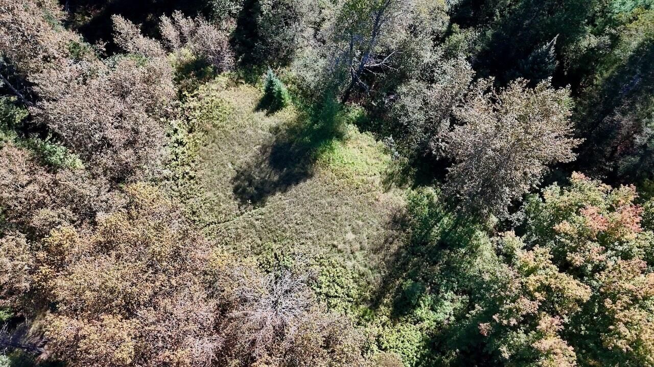 20200 Hibma Road Property Photo 91