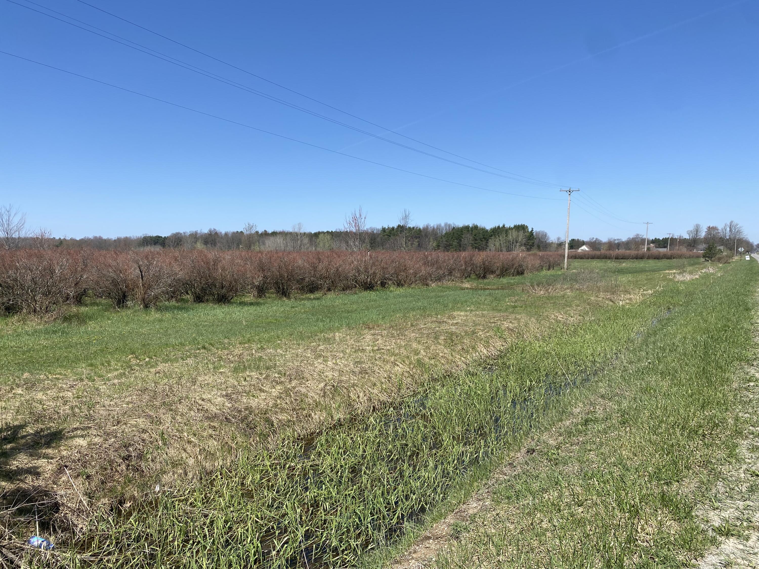 Vl S Wolf Lake Road A Property Photo 2