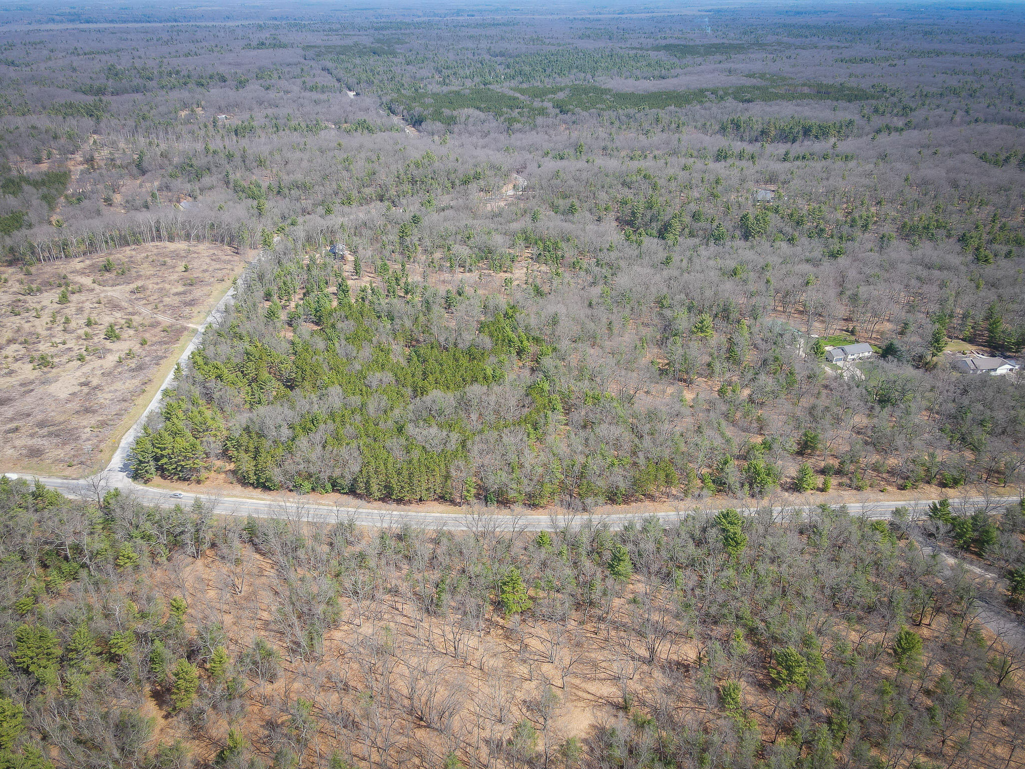 V/l W Holton Whitehall Road 2 Acres Property Photo 4