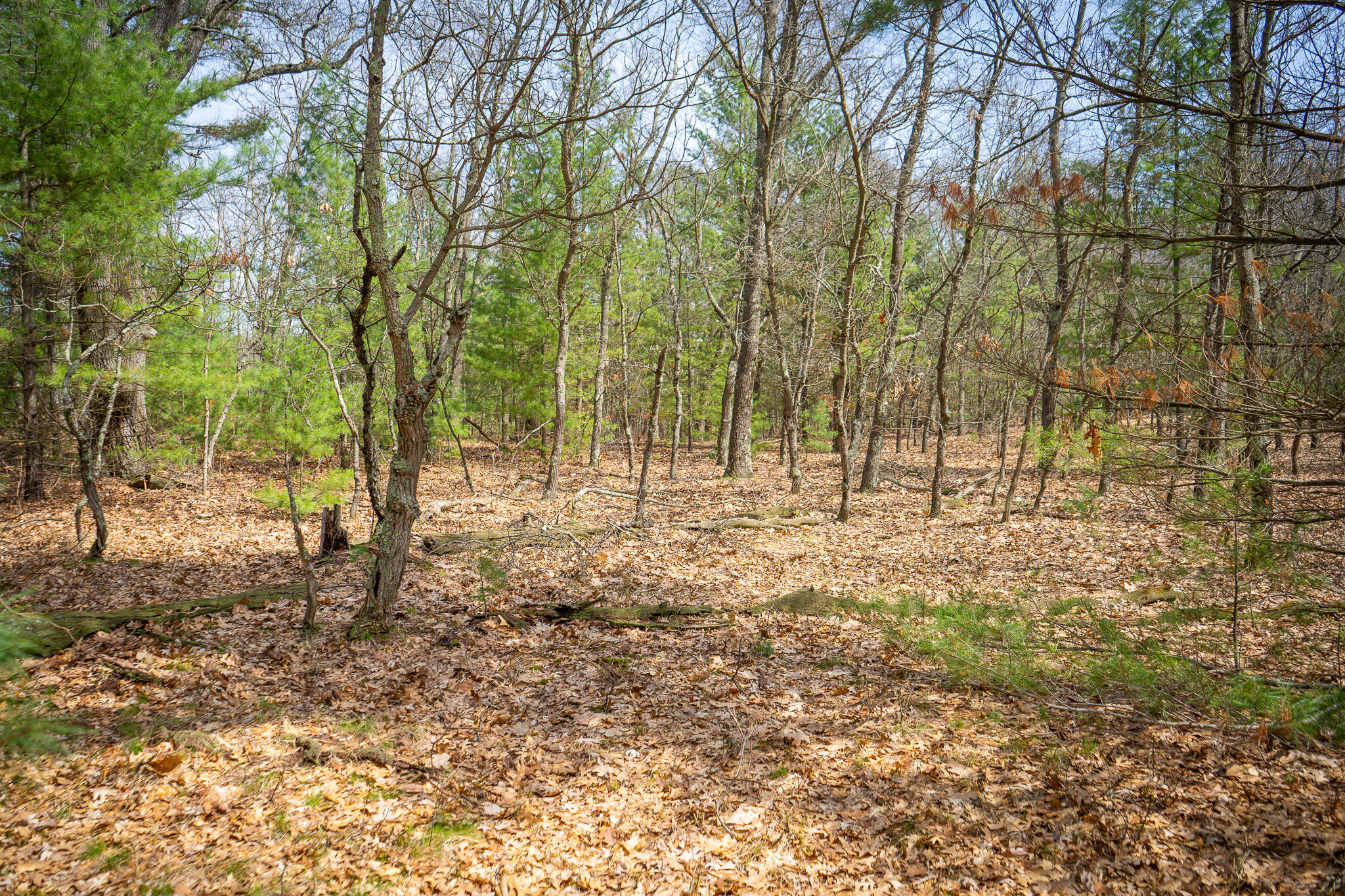 V/l W Holton Whitehall Road 2 Acres Property Photo 25