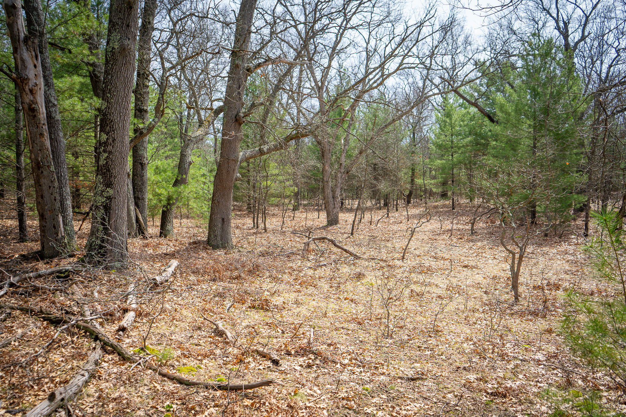 V/l W Holton Whitehall Road 2 Acres Property Photo 28