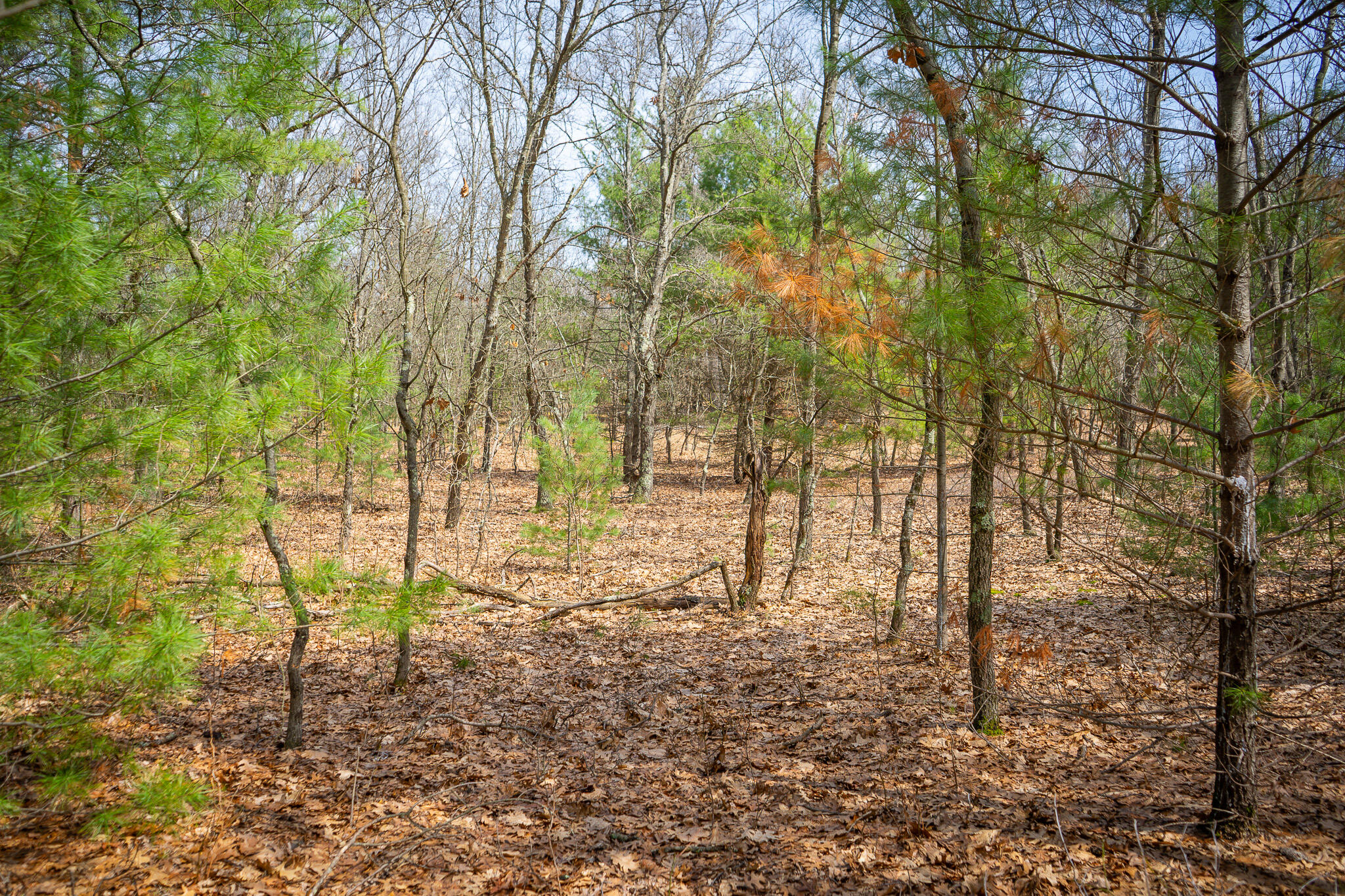 V/l W Holton Whitehall Road 2 Acres Property Photo 32