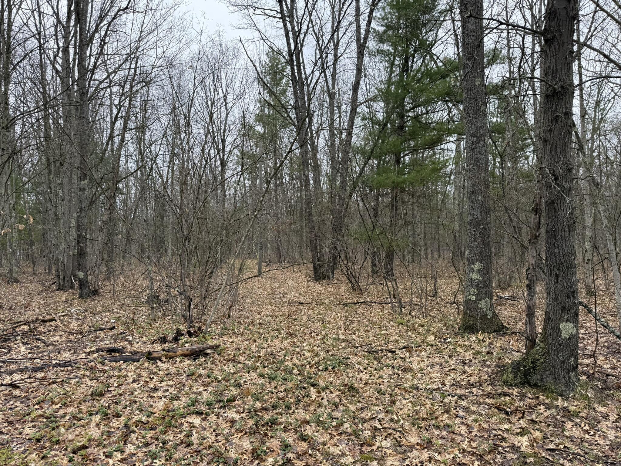 14995 N River Road Property Photo 15