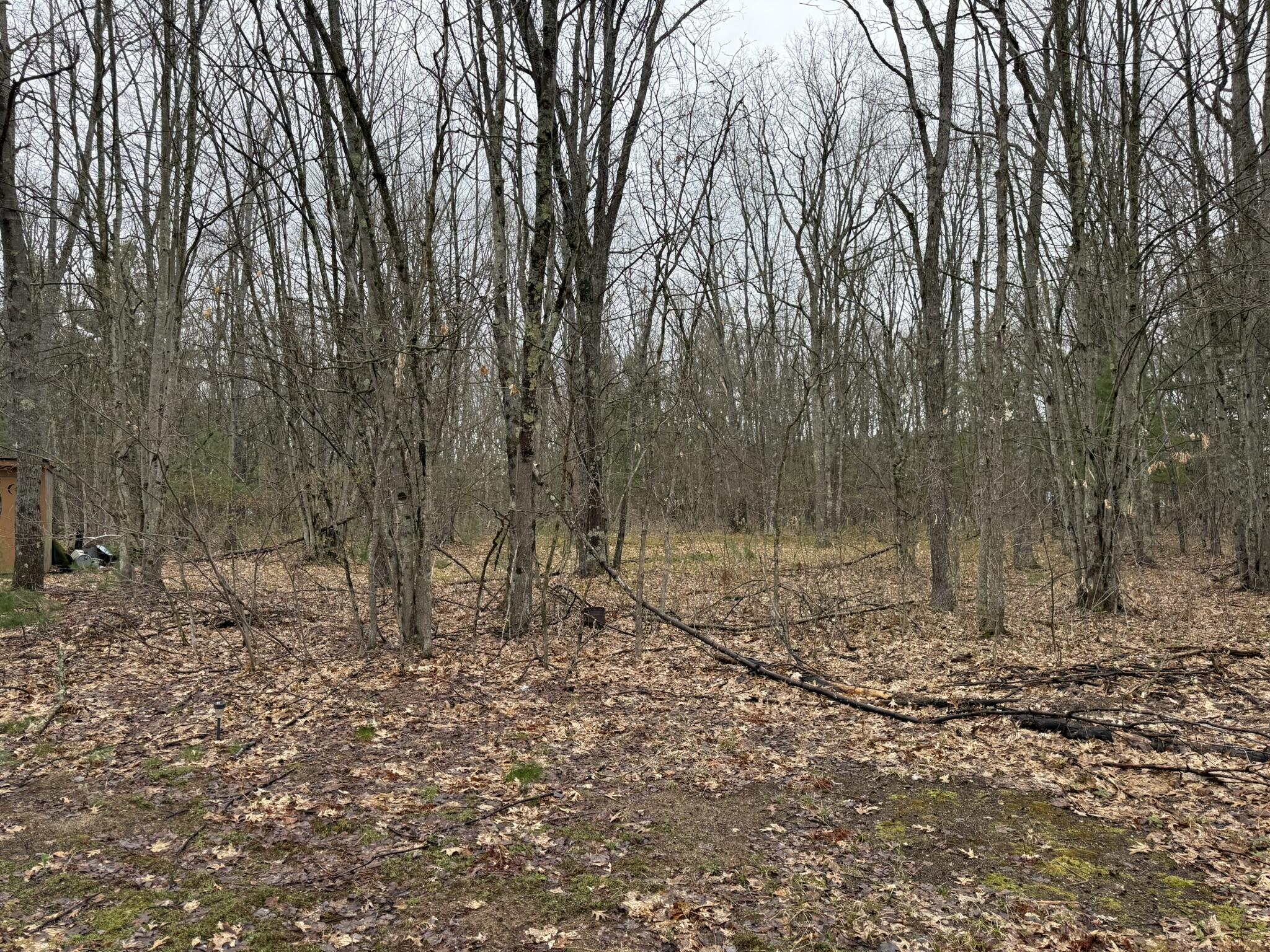 14995 N River Road Property Photo 16