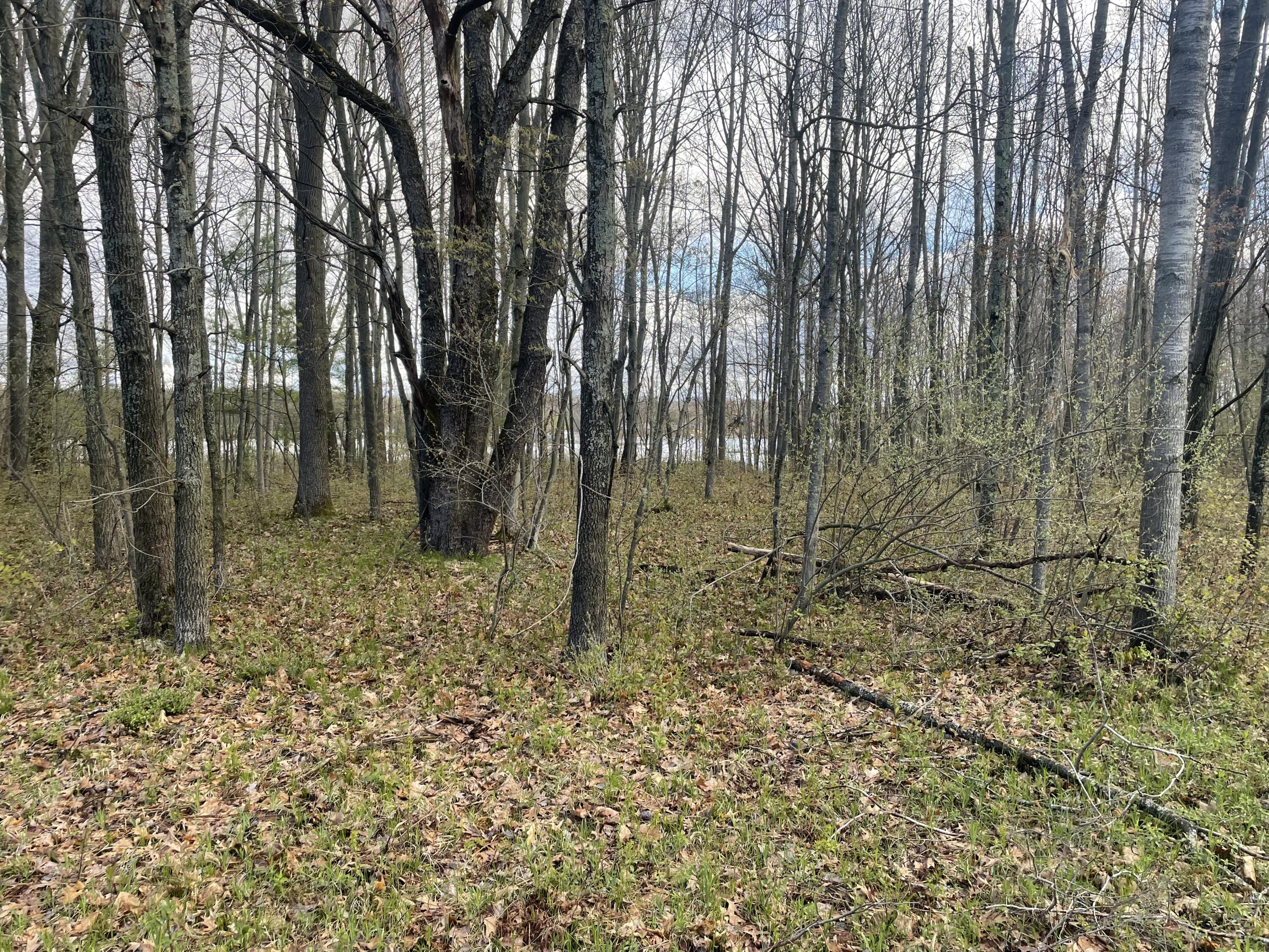 E Madison Road Property Photo 2