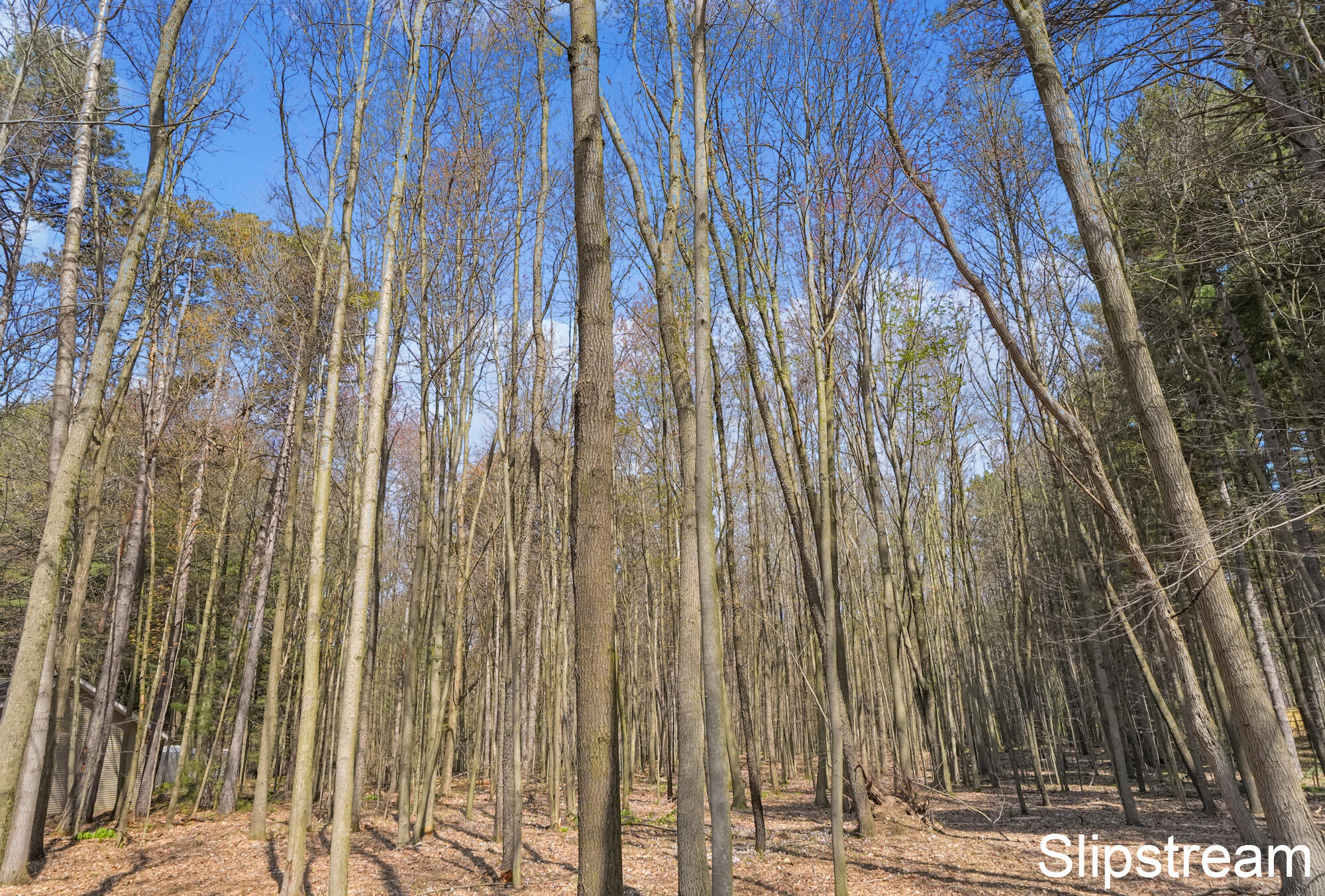 12745 Austrian Drive Property Photo 41