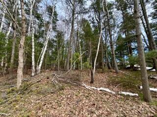 00 Lakeshore Drive Property Photo 1