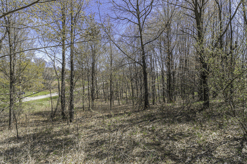 Lot 16 Campbell Lake Drive Property Photo 5