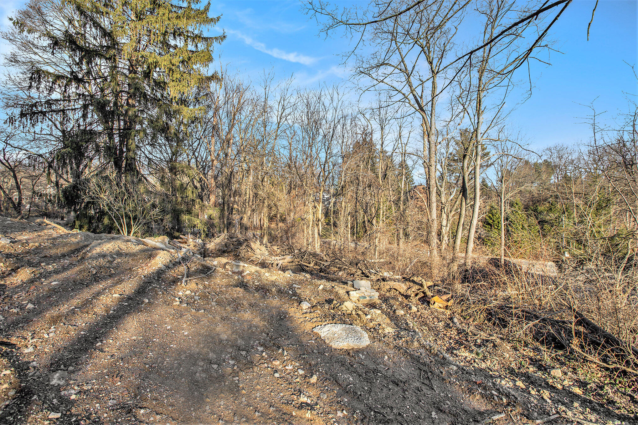 1864 Arlington Boulevard Property Photo 5